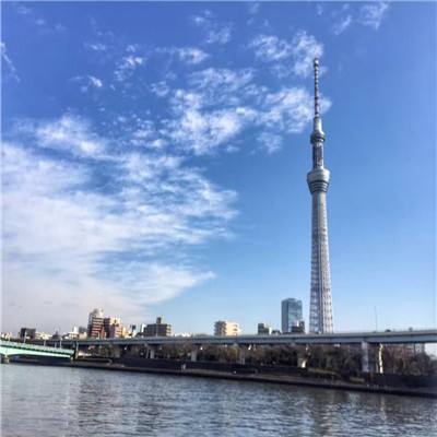 首届“上海之夏”7项国际引流效应标杆活动就绪